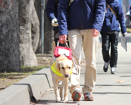 北海道盲導犬協会