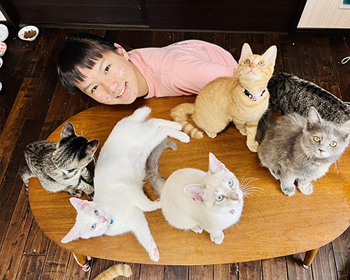 Cradle of Kittens