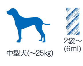 1日の目安量 中型犬