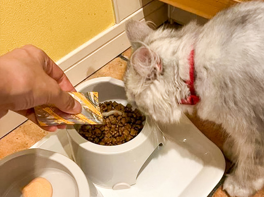 Feeding method Cat