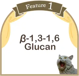 Black yeast beta-glucan content